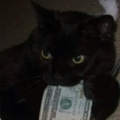 Calin's profile photo